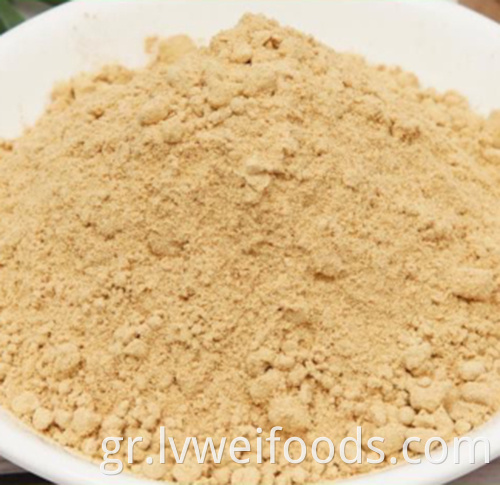 Αφυδατωμένη σκόνη τζίντζερ Dehydrated Ginger Powder